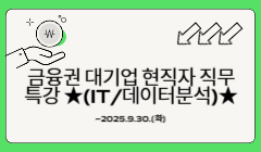 금융권 대기업 현직자 직무특강 ★(IT/데이터분석)★