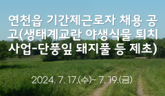 연천읍 기간제근로자 채용 공고(생태계교란 야생식물 퇴치사업-단풍잎 돼지풀 등 제초)