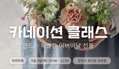 One day Class - 카네이션